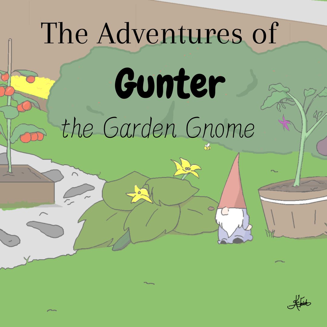 KC Fetch-Author tweet media