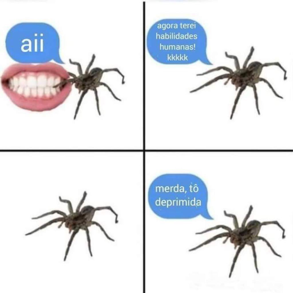 euskal herria fumar (@euskadifumar) on Twitter photo 