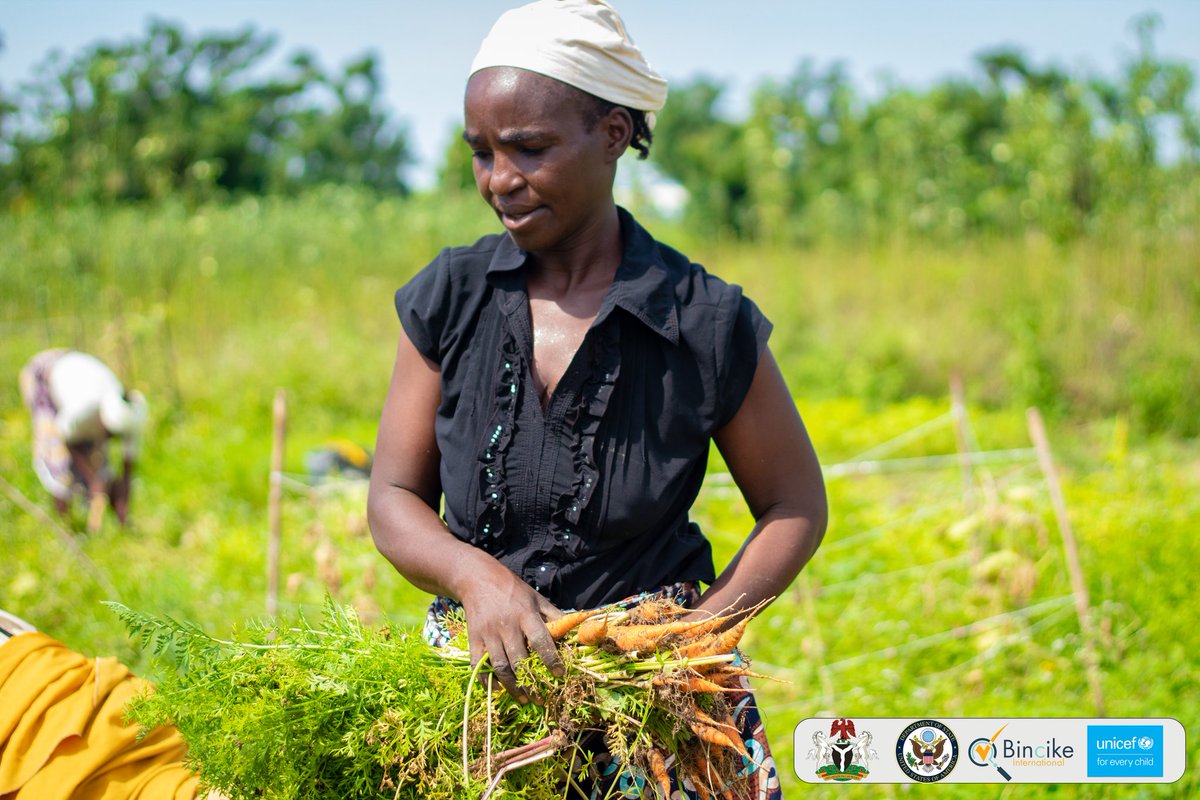 Bincike_Int's tweet photo. Harvesting Success: Carrots in Mubi North and South. 
We're delighted to announce another milestone achieved by our project participants in Mubi North and South. Supported by the United States Department of State through UNICEF Nigeria, our initiative empowers Adolescent Girls. https://t.co/kZFbHtuoHB