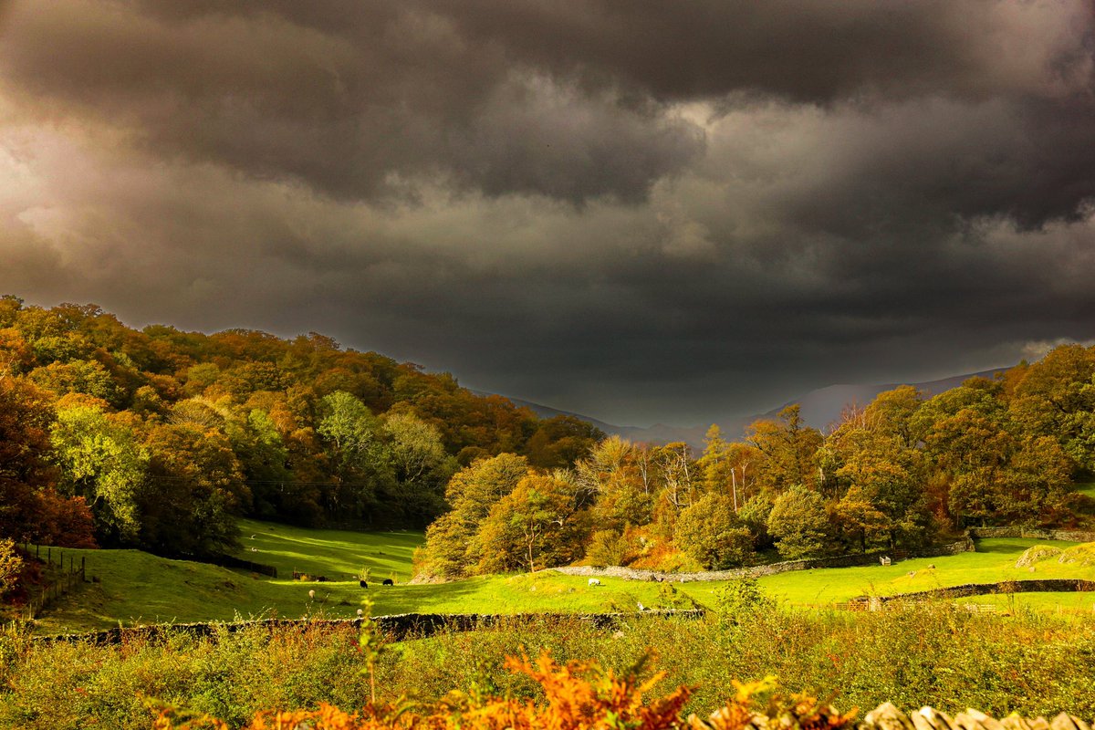 #Autumn colours in the #LakeDistrict 

<a href="/Ross_Hutchinson/">Ross Hutchinson</a> <a href="/lakedistrictnpa/">Lake District</a> <a href="/FriendsofLakes/">Friends of the Lake District</a> <a href="/countrywalking/">Country Walking</a> <a href="/BBCCountryfile/">BBC Countryfile</a> <a href="/CountryfileMag/">Countryfile Magazine</a>