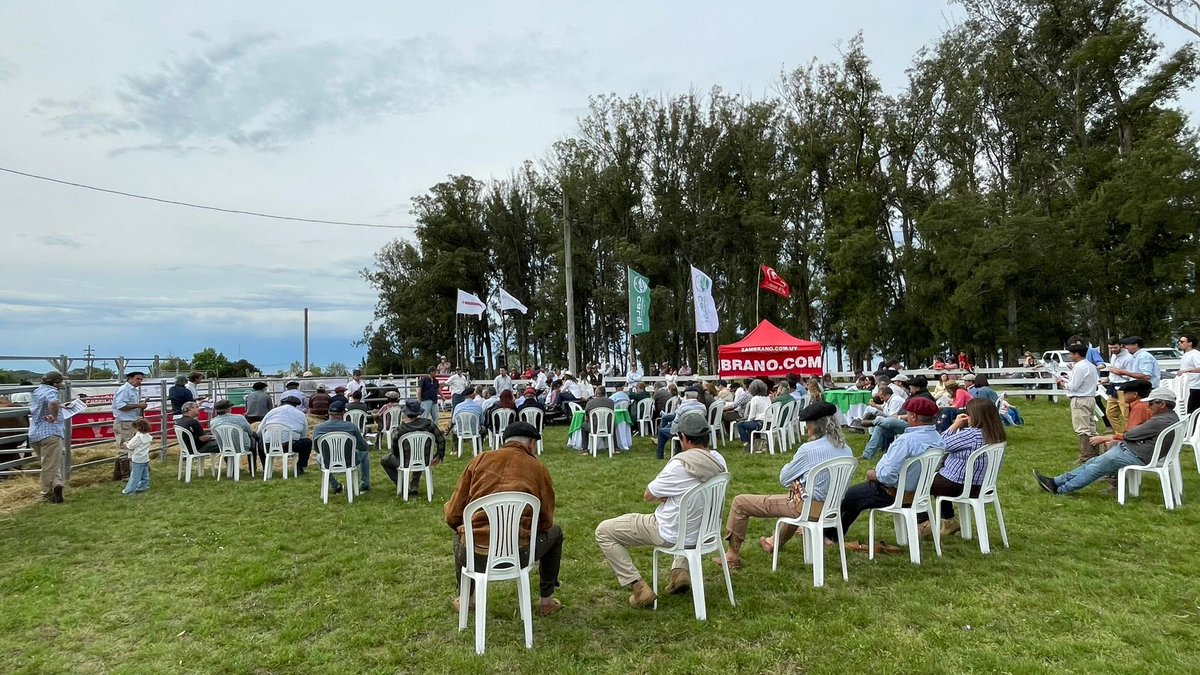 Cabaña Puesto Blanco tweet media