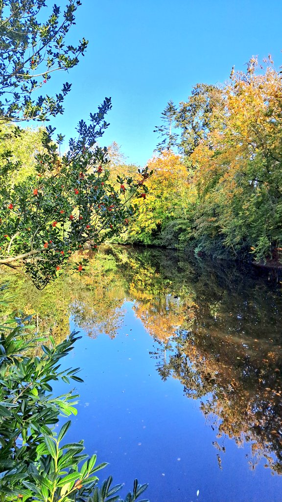 Eilish Sutton tweet media