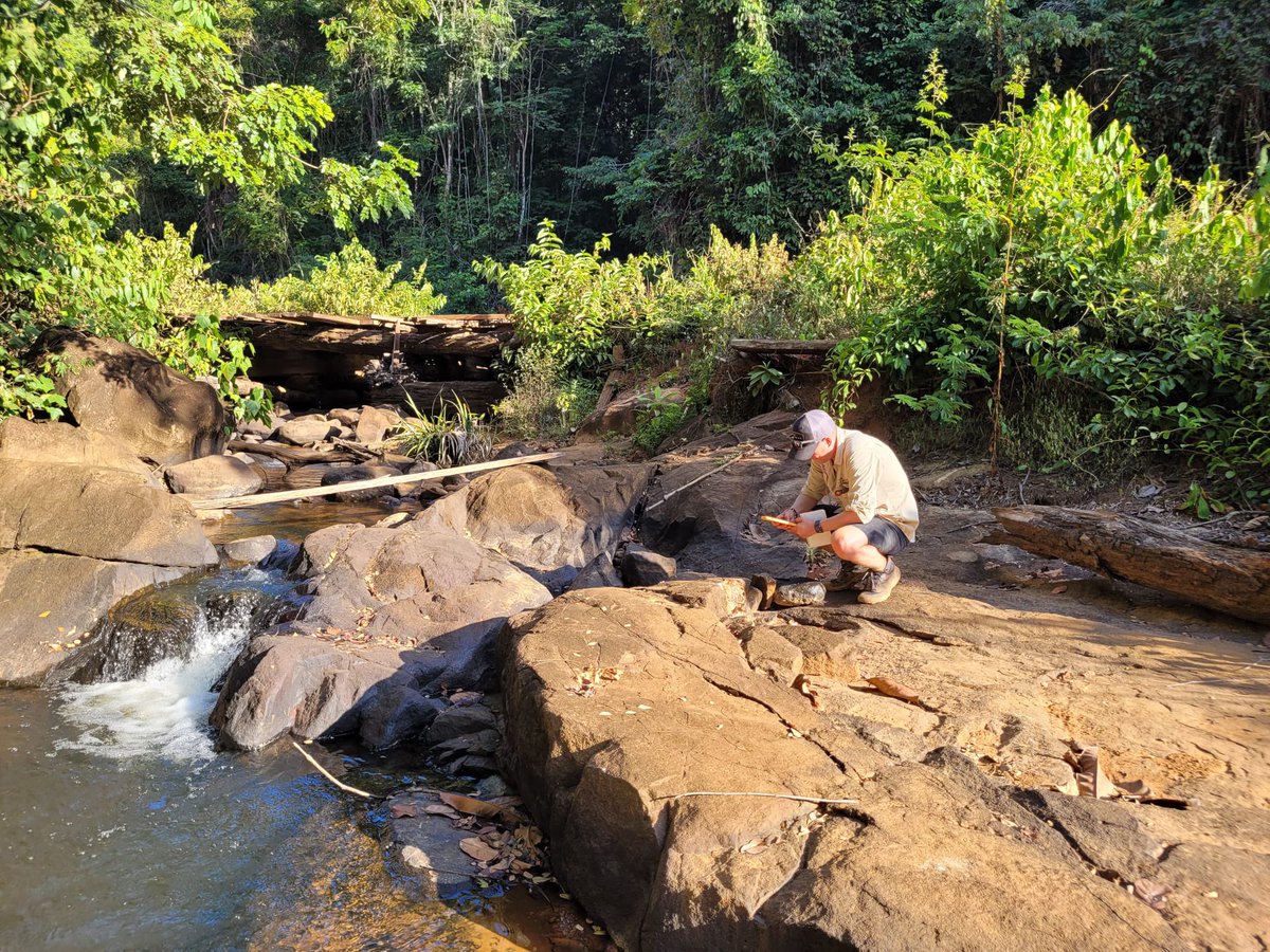 Checking some bedrock in a river section in central Guyana. #geology #geologist #gold