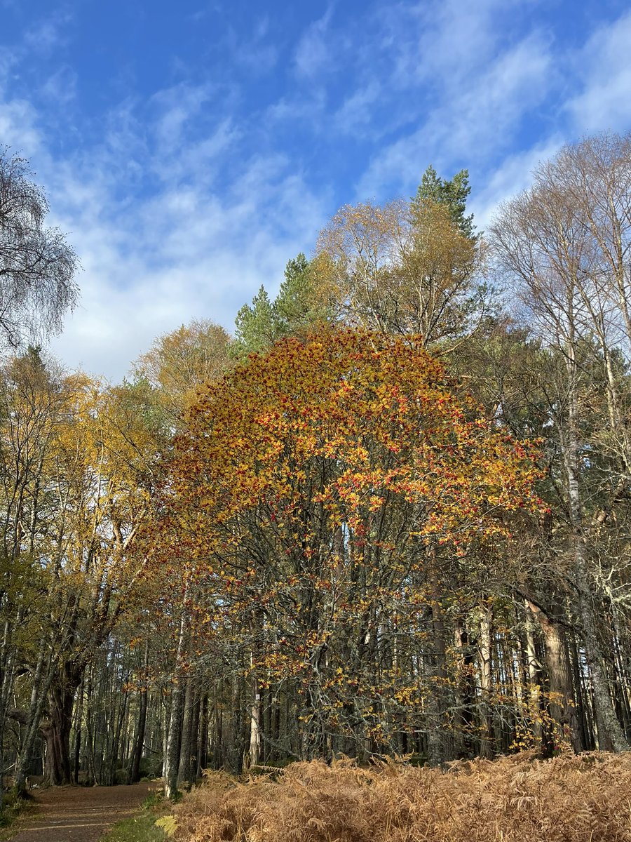 Sam Pyrah (was Murphy) tweet media