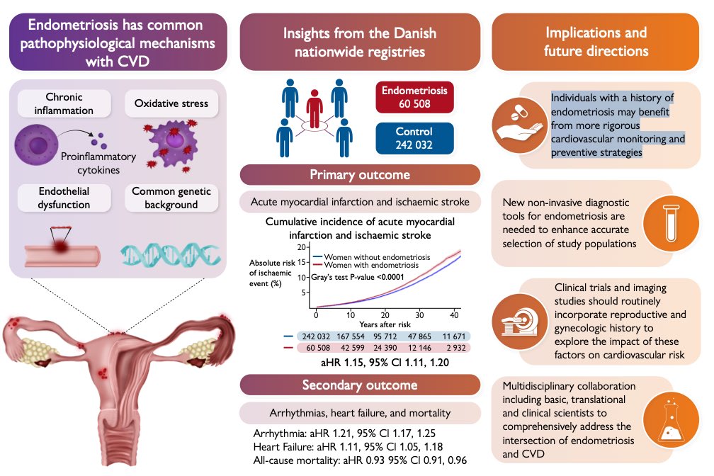 ValleAlfonso's tweet photo. 🔗Link between endometriosis and increased cardiovascular disease risk.

👉👥 with a history of endometriosis may benefit from more rigorous CV monitoring and preventive strategies

📁https://t.co/fEpQLhi2F1 https://t.co/QwvPK7PXEK