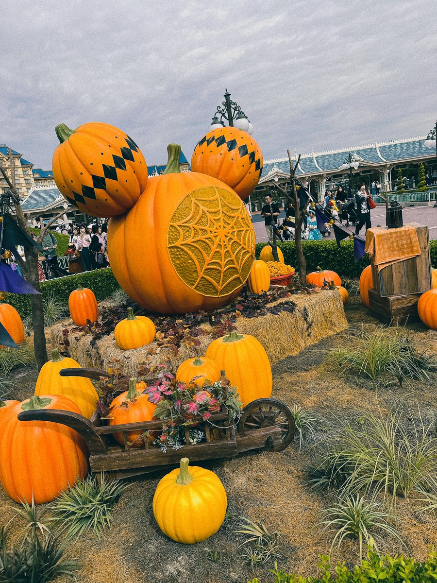 TXVT93's tweet image. ランド楽しかったわー
来月はシーに行ってきます♡
#ランド
#Disney
#Dハロ