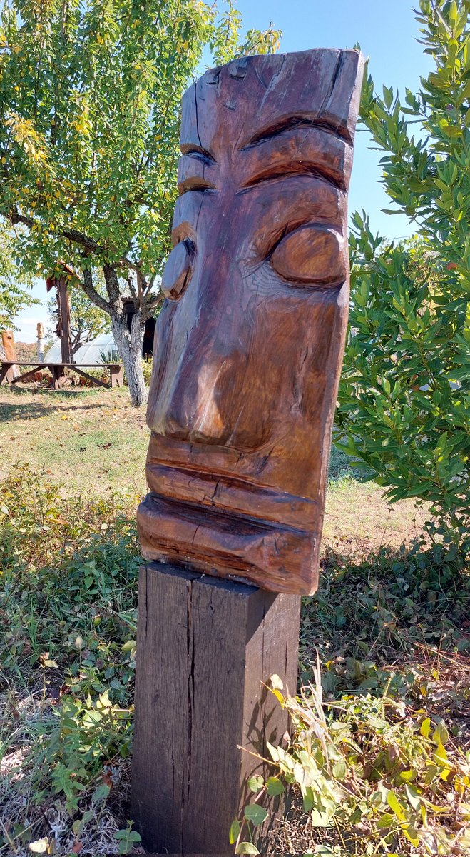 Insoinferna's tweet image. Ich, wenn #Hansa wieder 0 Punkte.