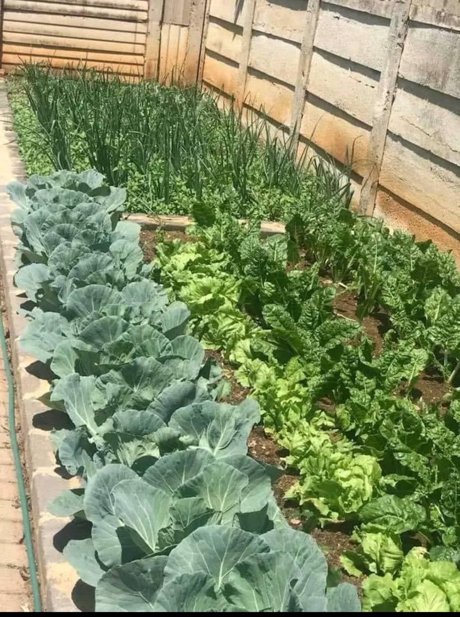 ntateRaps's tweet image. This must be a bragging right to every household!