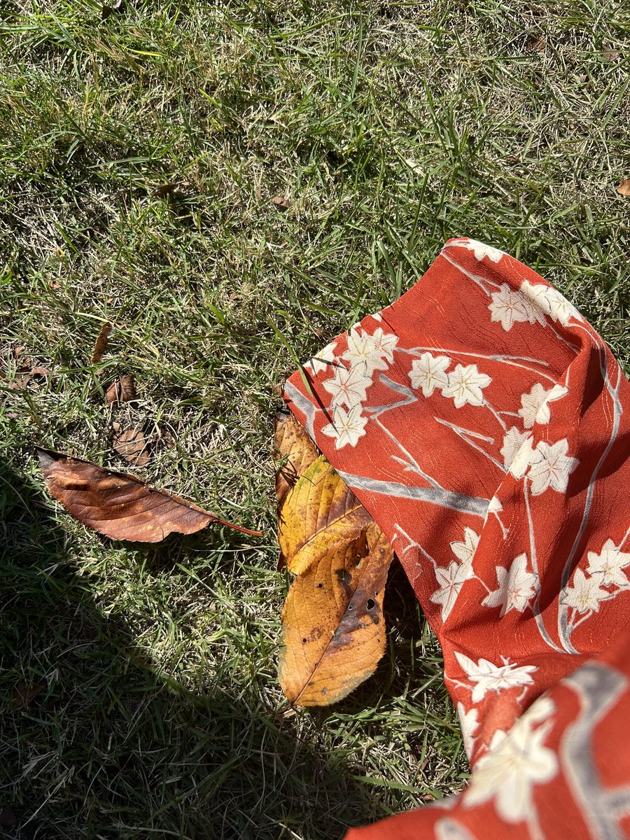 この間殺陣とダンスがある舞台を観に行っできたら、無性に殺陣がしたくなった笑

また基礎からやりたいから、
とりあえず家で練習しようと思ってるけど
なんかYouTubeでいいのないかな？🤔

最近パソコンもらったから、家帰ったら調べてみまーす！