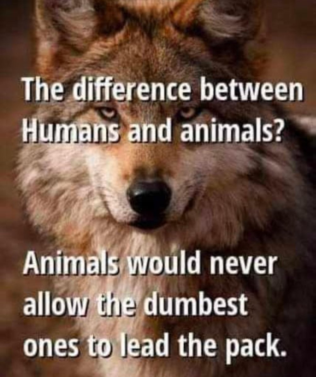 Domneva1's tweet photo. @GOP @HouseGOP @SenateGOP @mtgreenee @Jim_Jordan #TrumpIsALaughingStock #Trump #GOPLogic #MAGA #MAGAMOVEMENT https://t.co/whmMkukL2F