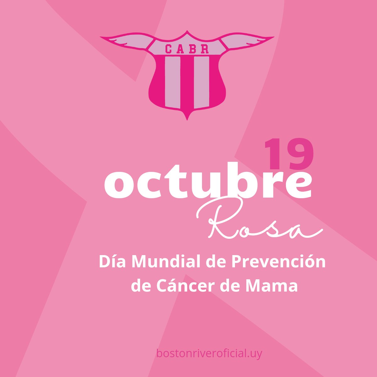 bostonriver's tweet photo. 🩷🩷
#VamosBoston
#DiaMundialdelCancerdeMama #HazteLaMamografía https://t.co/t3UkMePYMA