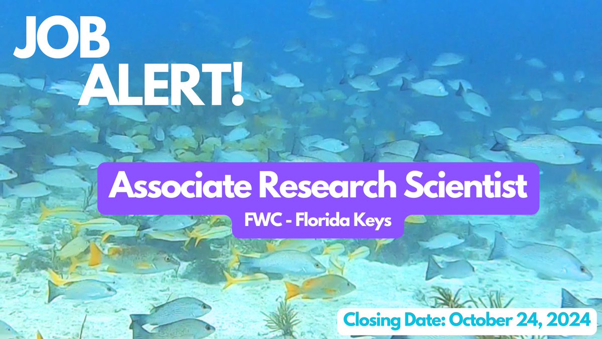 FACT_Network (@fact_network) on Twitter photo ✨ Job Alert! ✨
FWC is hiring an Assistant Research Scientist for their Marathon, FL location! 
Duties include:
✅ SCUBA diving
✅ Boating
✅ Fisheries data
✅ Technical reports and publications
✅ Fiiiiish
Closing Date: October 24, 2024
Link to job announcement below 👇 ✨ Job Alert! ✨
FWC is hiring an Assistant Research Scientist for their Marathon, FL location! 
Duties include:
✅ SCUBA diving
✅ Boating
✅ Fisheries data
✅ Technical reports and publications
✅ Fiiiiish
Closing Date: October 24, 2024
Link to job announcement below 👇