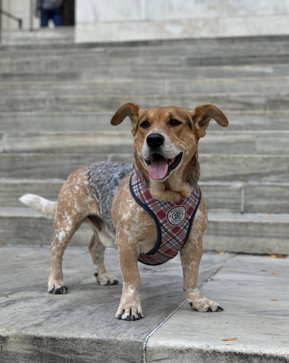 Sophie Vershbow tweet media