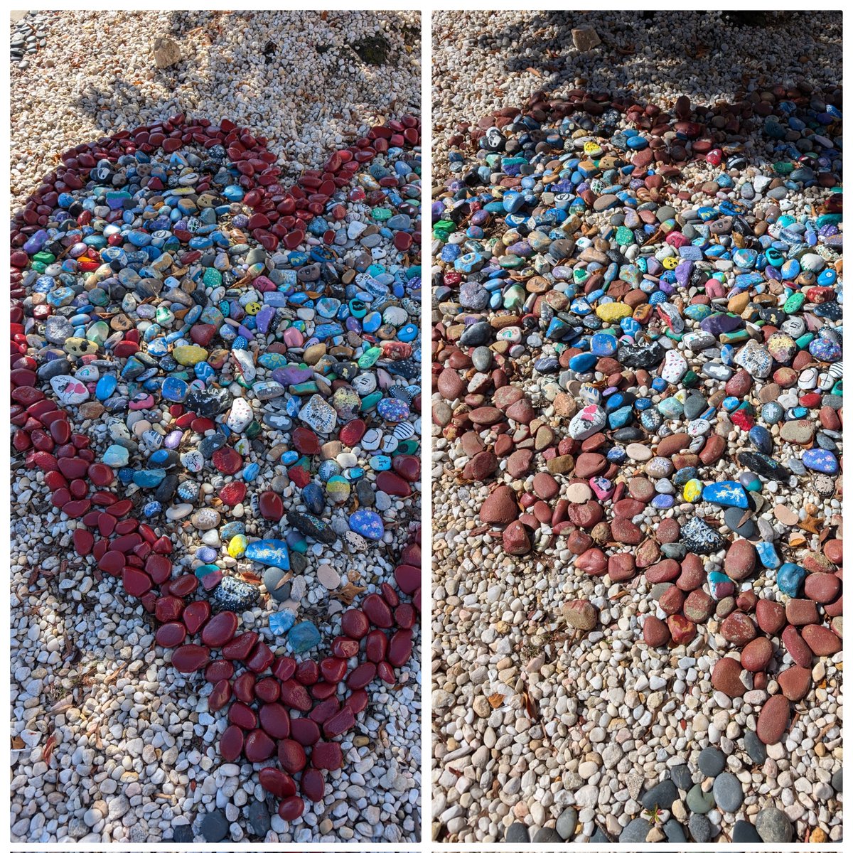 Our rock garden needed a refresh! Now it's all shiny and new!! #refreshed #7thRocks #RockGarden <a href="/EASTWAKEACADEMY/">East Wake Academy</a>