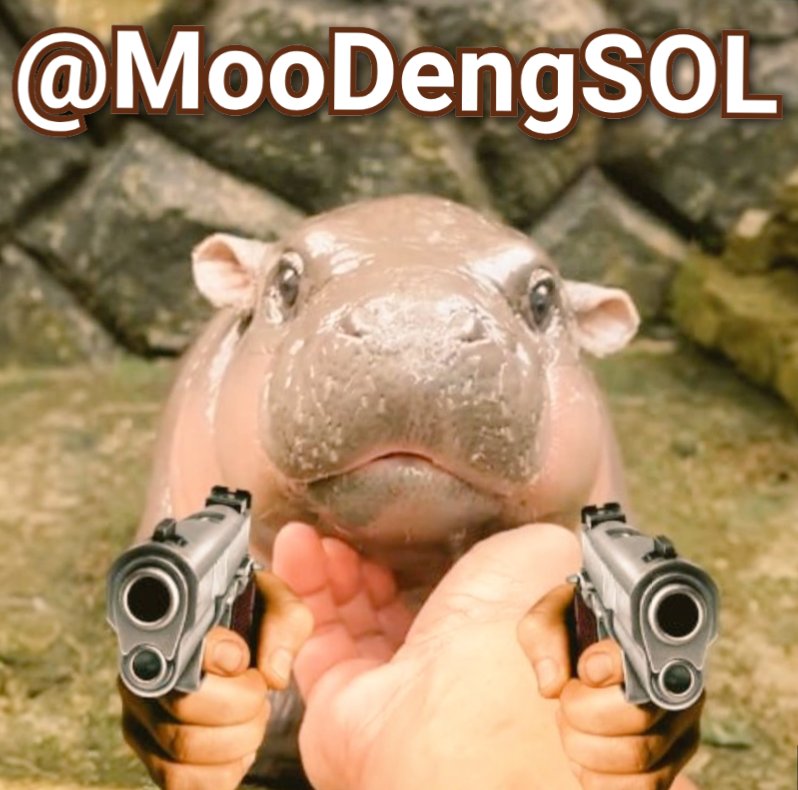 John_Jeffries11 tweet media