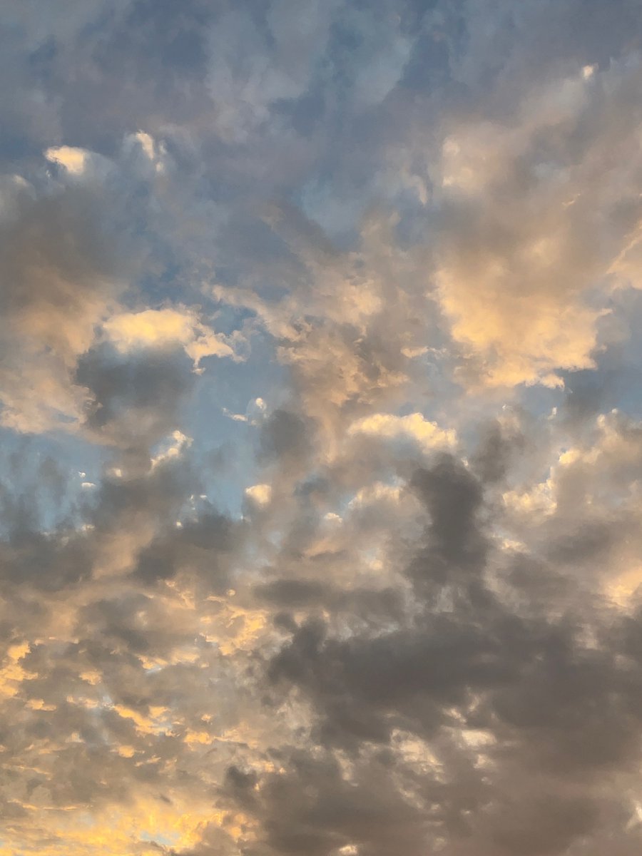 I took it the other day📷✨

There is an unexpected problem at home, and the future is difficult🙀It looks like it will continue for a while from now on💦

Take care and have an awesome weekend!🍀
From ONIGIRI🍙 

#JapanTravel #Japantrip
#picture #photos