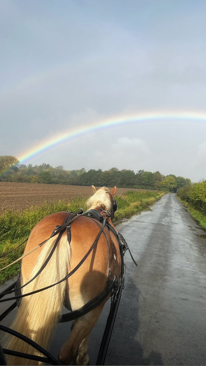 Beautiful sight while taking Bruce (horse) for a drive today.

#HorseDriving #Rainbow