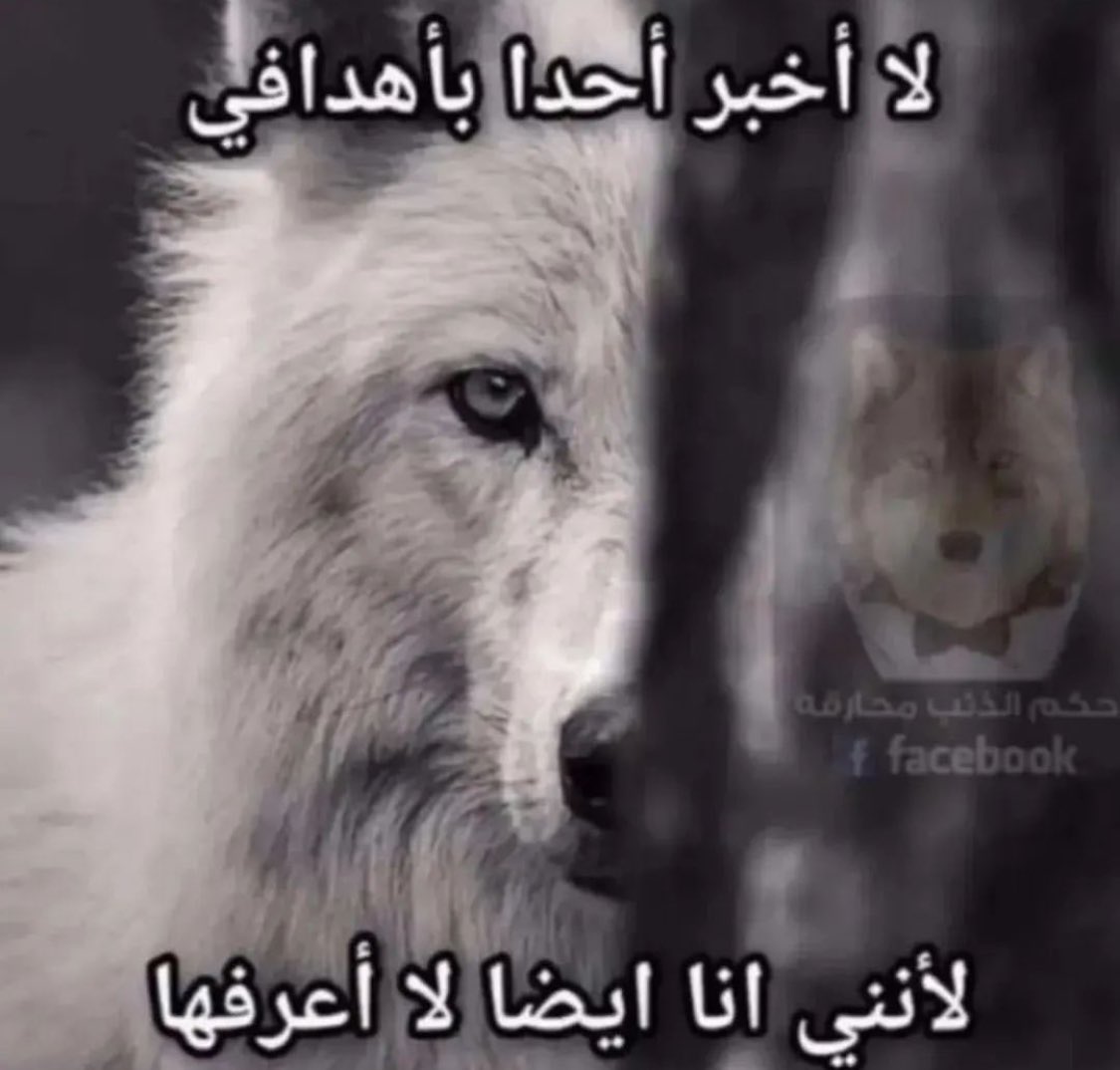 قروت (@gruutii) on Twitter photo 