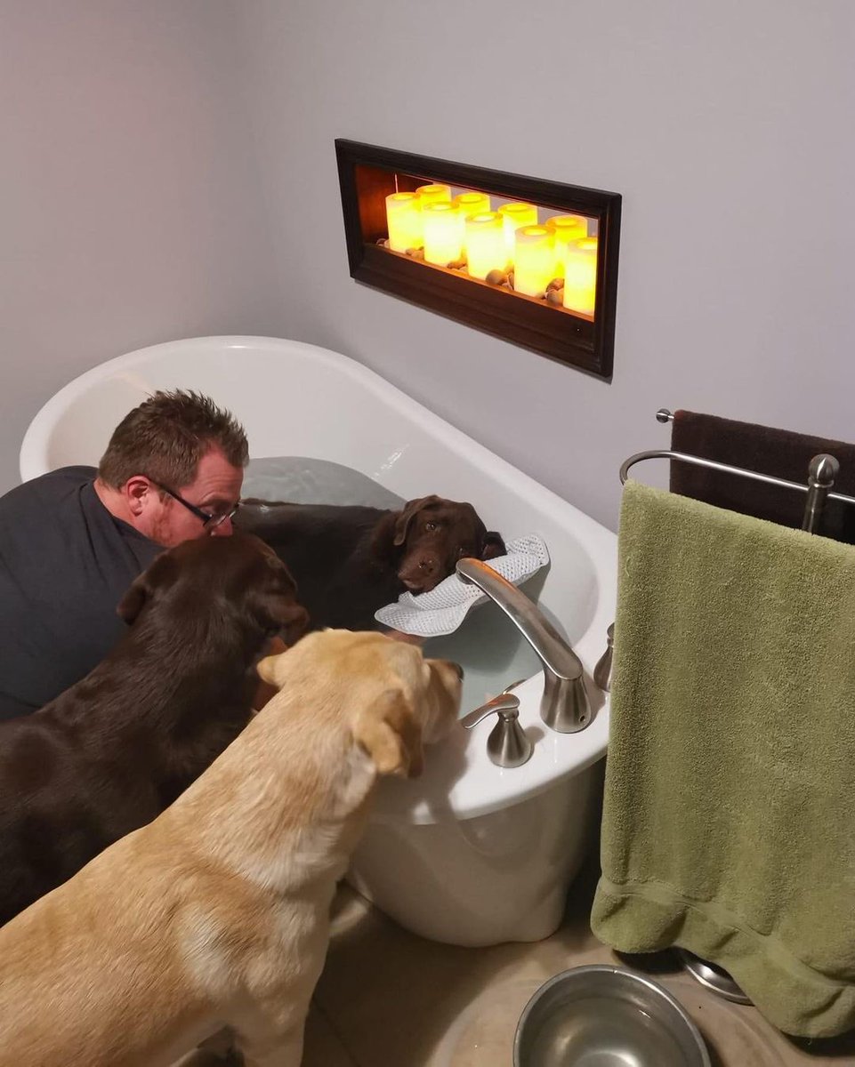 This is Buckaroo. He is 12 years old and sometimes he gets sore. Warm baths always help him feel better. His dad holds his pillow and his brothers come by for emotional support. 14/10 for all #SeniorPupSaturday