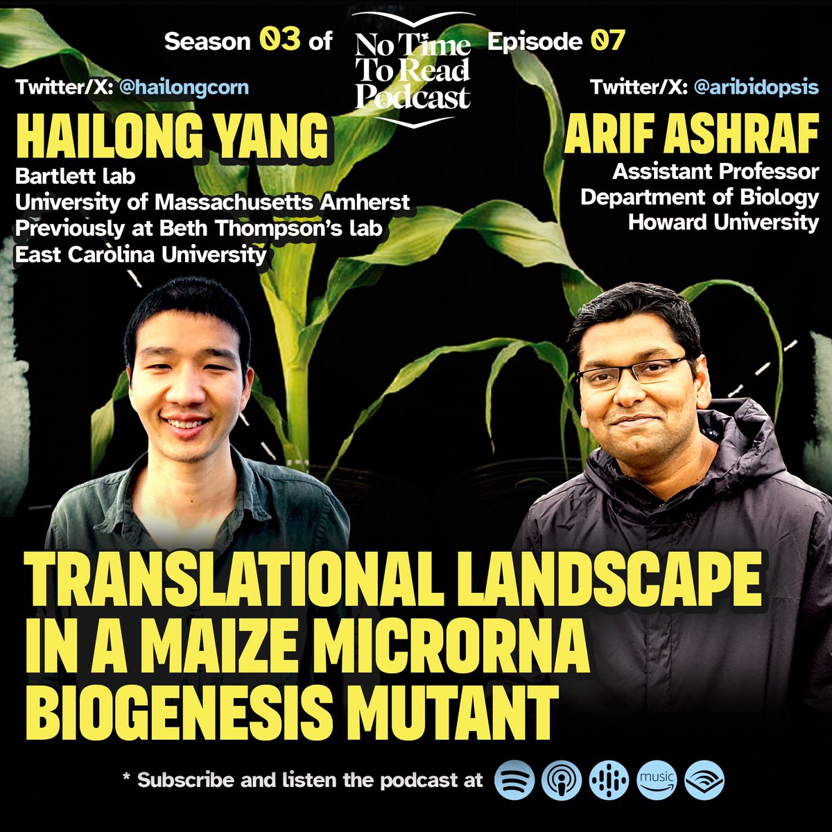 Latest episode of #No_Time_To_Read podcast! ⏰📖

In this episode, Arif discussed with Hailong Yang (Bartlett lab, UMass Amherst) about his recent <a href="/ThePlantJournal/">The Plant Journal</a> article about a translational landscape in a maize microRNA biogenesis mutant.
podcasters.spotify.com/pod/show/no-ti…