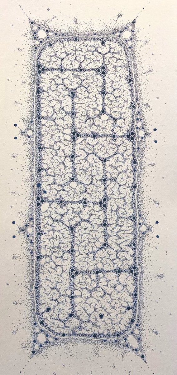 Víctor de Lorenzo tweet media