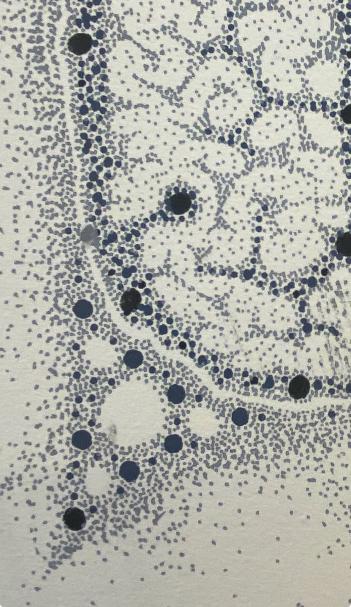 Víctor de Lorenzo tweet media