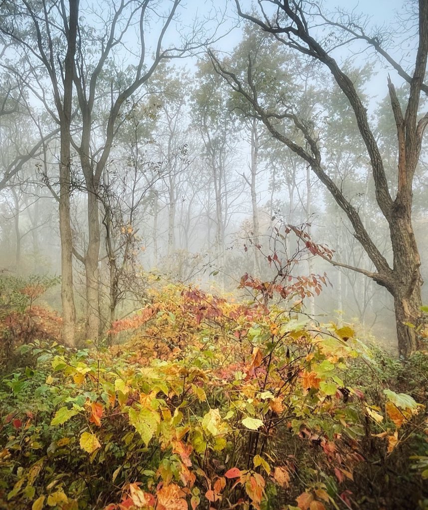 Breathing in the morning 🍂