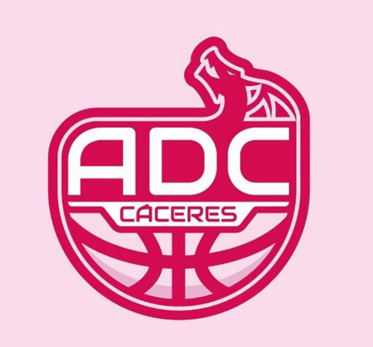 adcbaloncesto's tweet photo. 𝐃𝐢́𝐚 𝐈𝐧𝐭𝐞𝐫𝐧𝐚𝐜𝐢𝐨𝐧𝐚𝐥 𝐝𝐞 𝐥𝐮𝐜𝐡𝐚 𝐜𝐨𝐧𝐭𝐫𝐚 𝐞𝐥 𝐜𝐚́𝐧𝐜𝐞𝐫 𝐝𝐞 𝐦𝐚𝐦𝐚| 🩷

En el Día Mundial Contra del Cáncer de Mama, nos sumamos al rosa. Por nosotras, por vosotras, por todas ellas, lucharemos y venceremos.

#sacapechoporellas💗 https://t.co/7sSa2hlvsQ