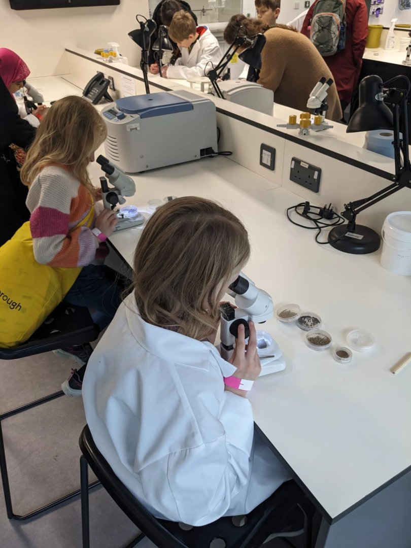 Peterborough STEM Festival tweet media