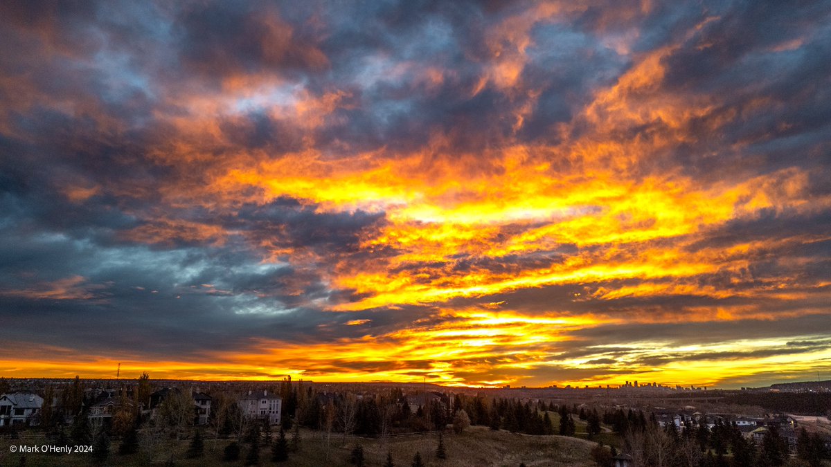 Mark O’Henly tweet media