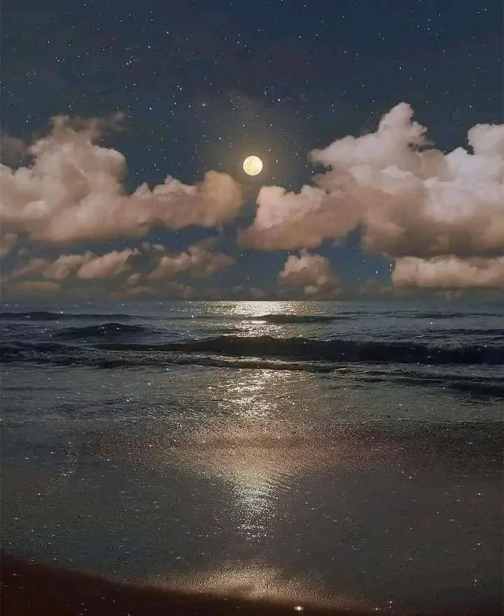 artindetails's tweet photo. — the moon listens. https://t.co/FX3MT1Fluz