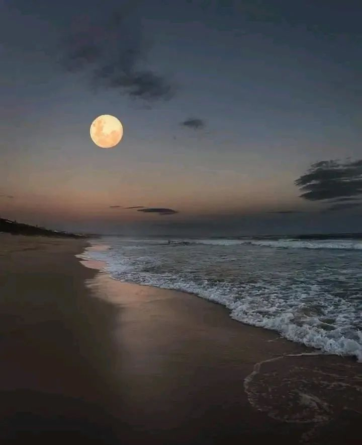 artindetails's tweet photo. — the moon listens. https://t.co/FX3MT1Fluz