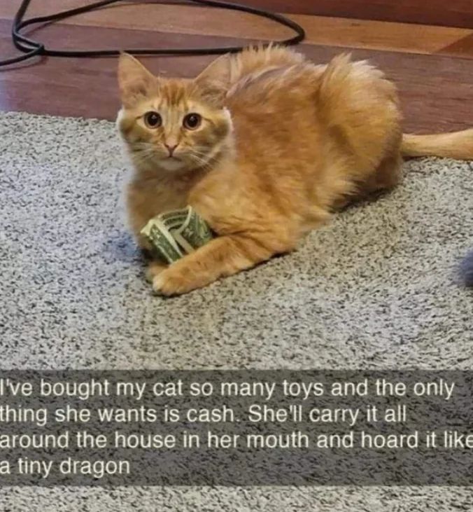 WholesomeMemes tweet media