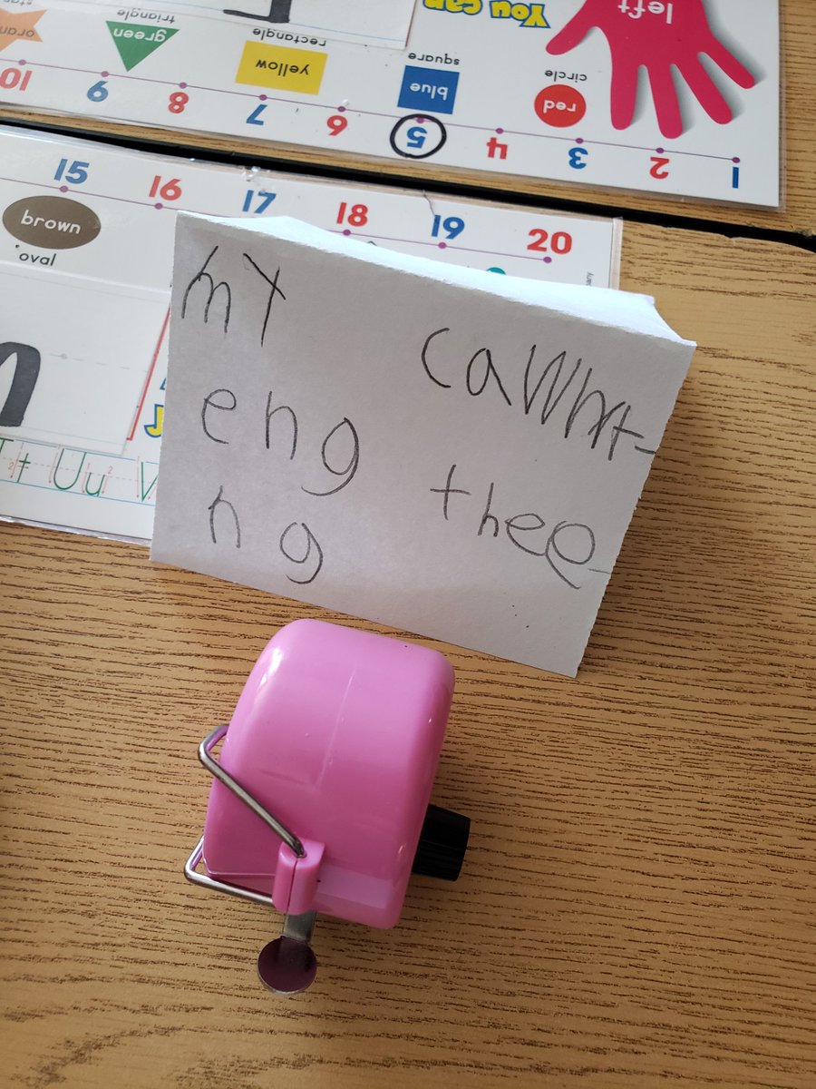 Tammy McMorrow tweet media