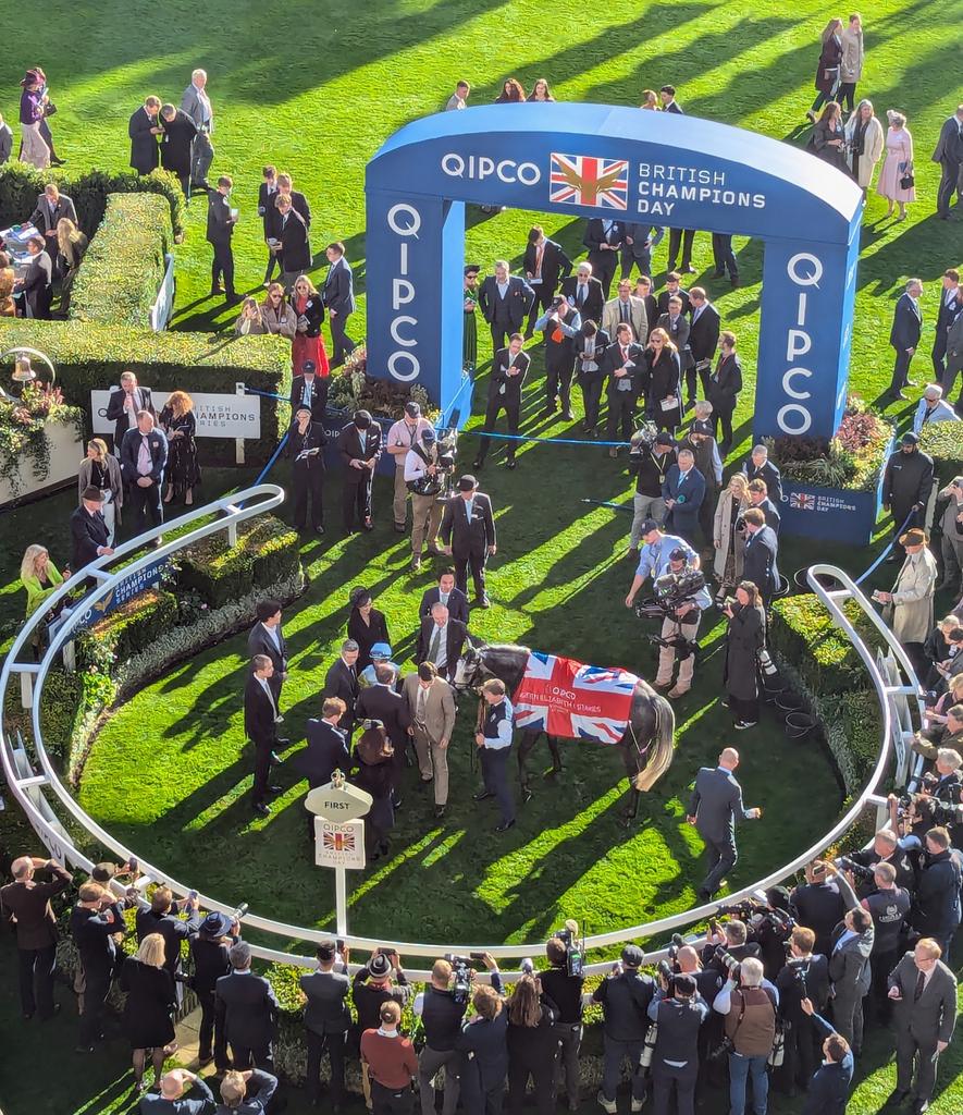 PeteMWatts's tweet photo. Wow, Charyn @Ascot https://t.co/tCl2pNmUmF