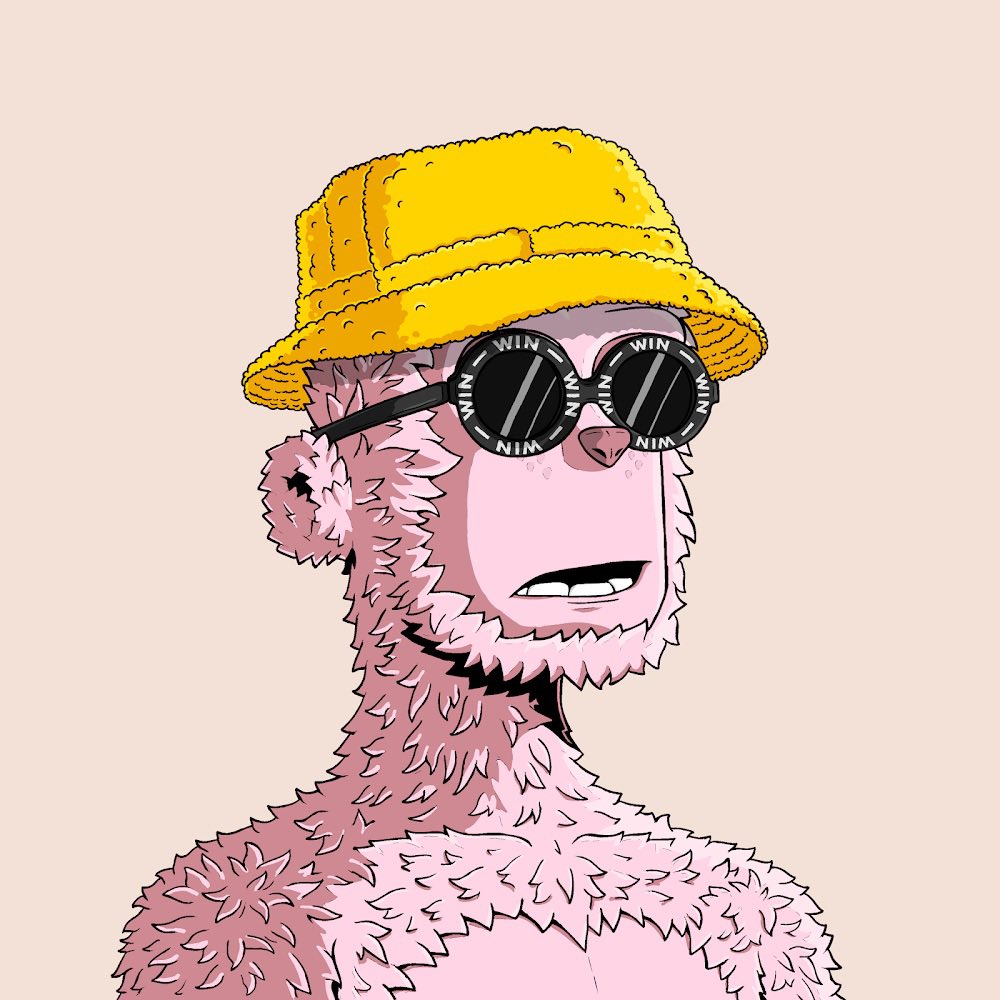 sundotsol's tweet image. if degods win. we win.