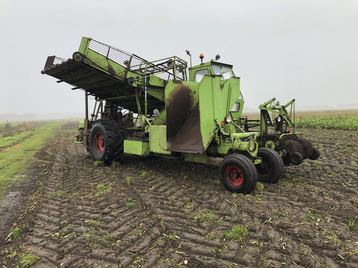hermandeuling's tweet photo. Bieten rooien met oldtimers in Laudermarke #agrifoto https://t.co/QIMikXNBv1