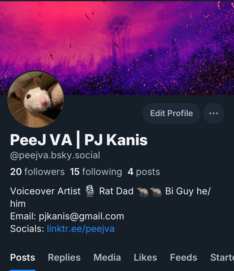 PJ Kanis | @peejva.bsky.social tweet media