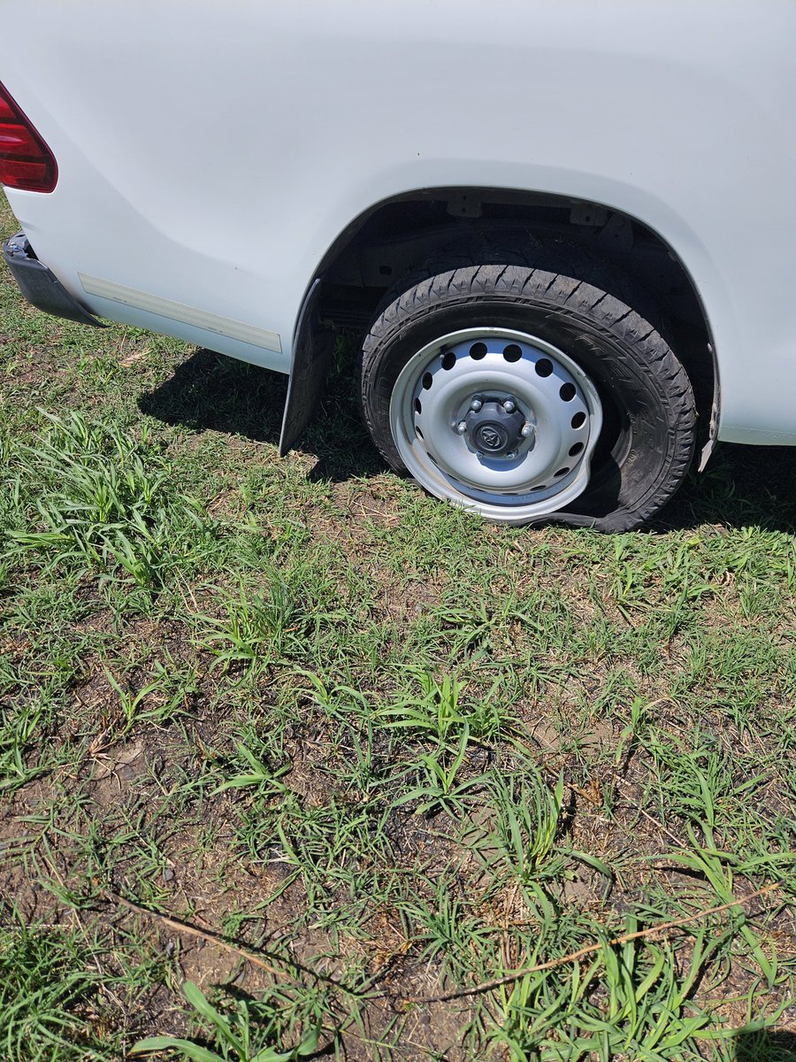 IgnacioBentez4's tweet photo. Ruta Nac 33 acá nunca llegó el estado. No lo puedo putear a Axel porque de este lado gobierna @maxipullaro . Del lado de @Kicillofok tambien está destrozada la RN33. Abandono histórico de Nación @InfoSegVial las prov. de BsAs y Sta Fe. Las muertes serán todas culpa de ustedes https://t.co/4LS6YwGnWj
