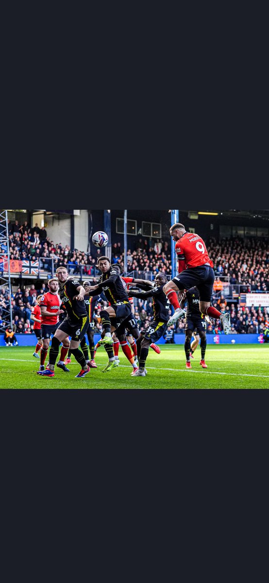 Classic Derby day, loved that 😆 UP the hatters 🪜 💥