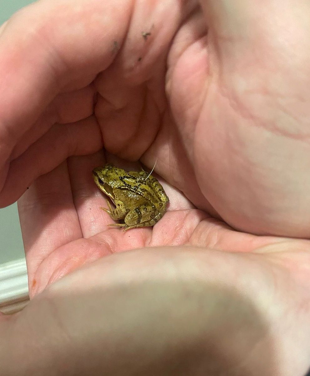 Rebecca Glassbrook tweet media