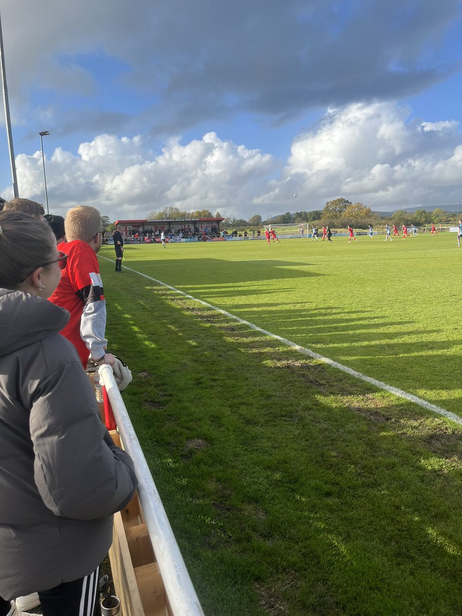 Mark Young tweet media