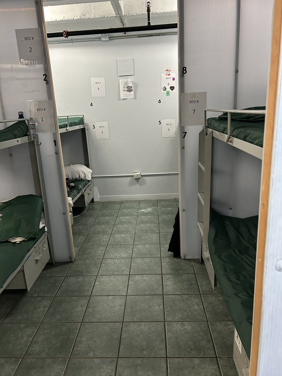 Amelia Kegan tweet media