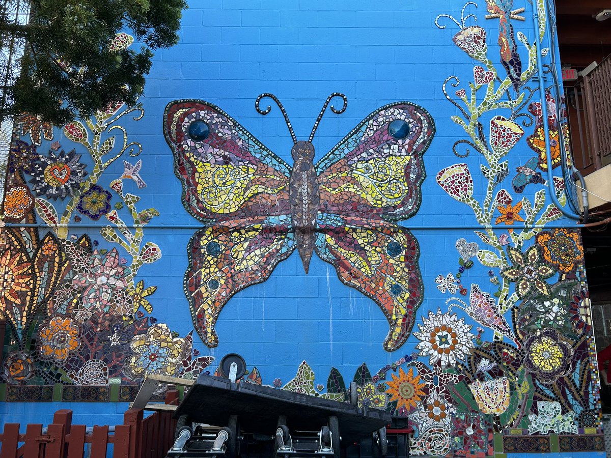 Amelia Kegan tweet media