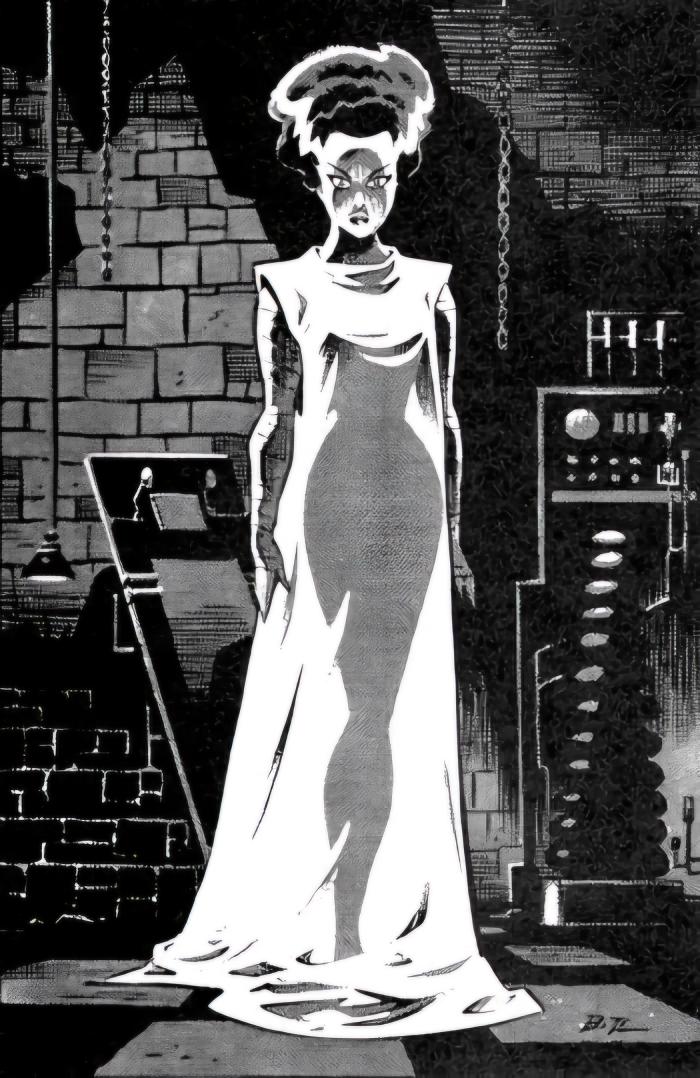 "The Bride Of Frankenstein" by Bruce Timm.