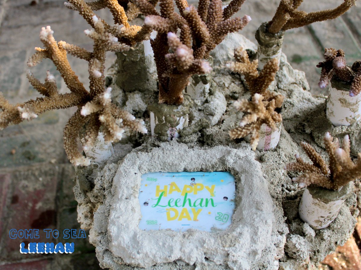 LEEHAN BIRTHDAY PROJECT tweet media