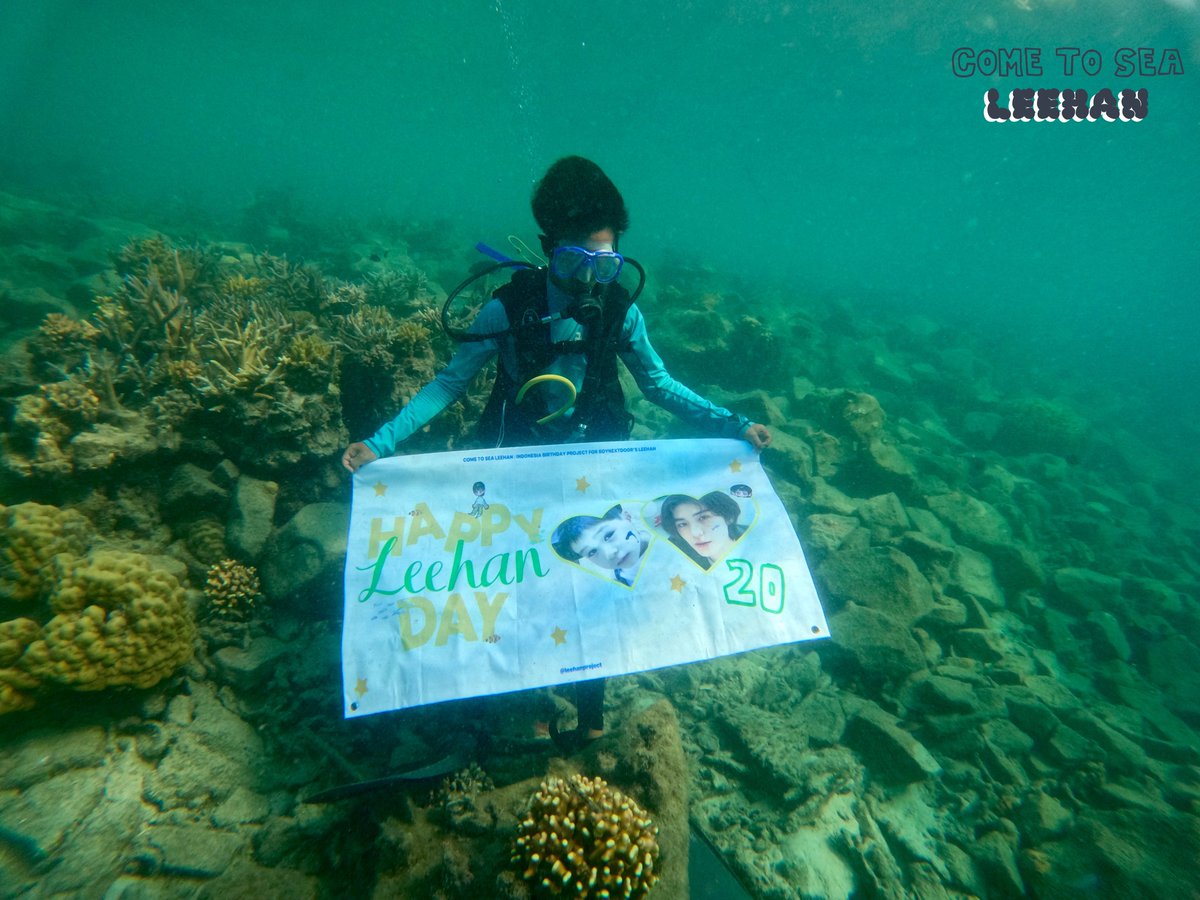 LEEHAN BIRTHDAY PROJECT tweet media