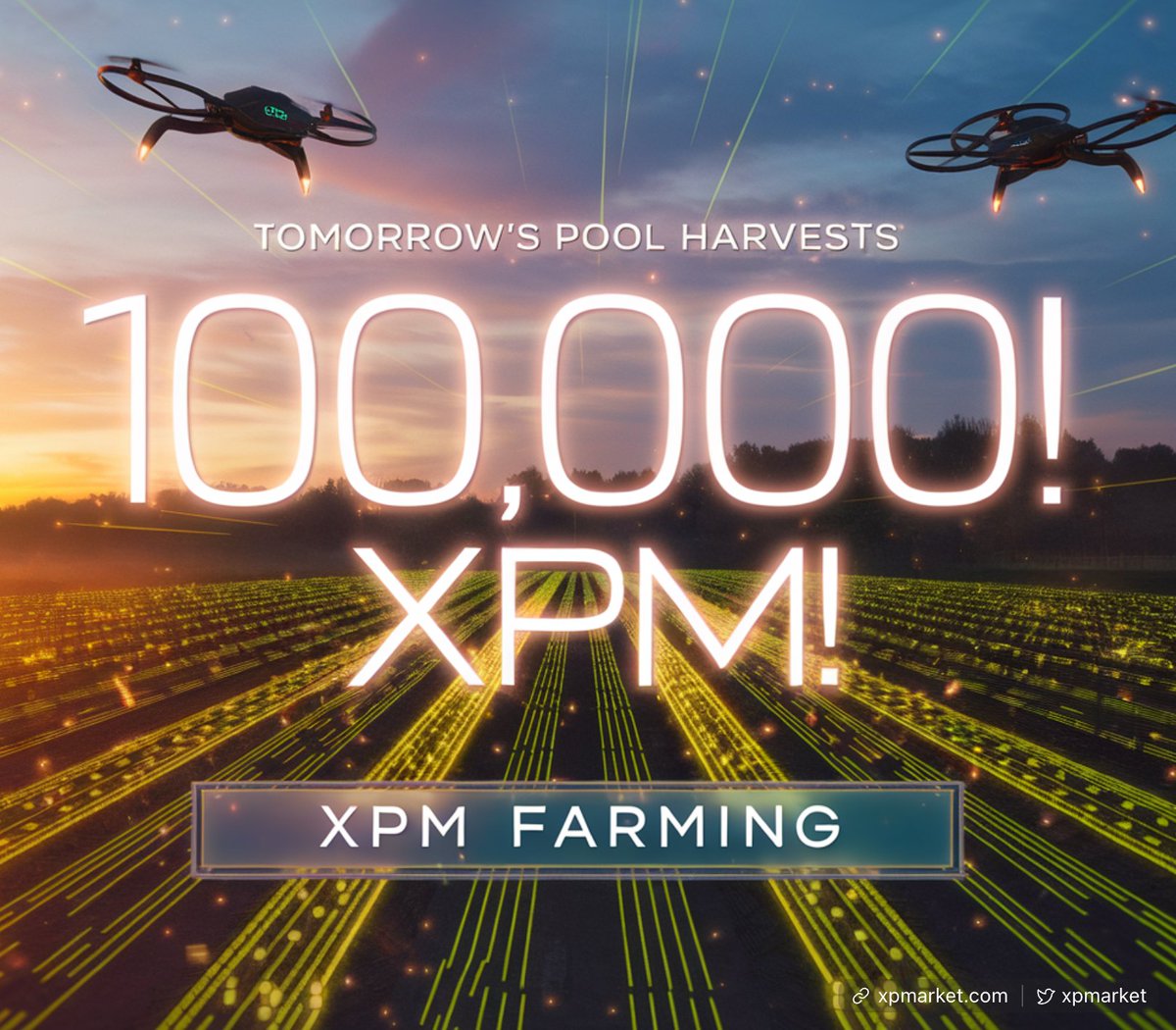 xpmarket tweet media