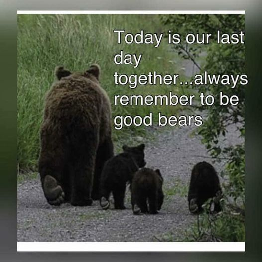 ZientekMary's tweet image. #NewJerseyShame
@XposeTrophyHunt 
Thank you, #ExposeTrophyHunting
The controversial Black Bear hunting has started in New Jersey. 
It&apos;s a recreational hunting, for rugs, wall mounts and foot stools. 
Shame on you New Jersey.