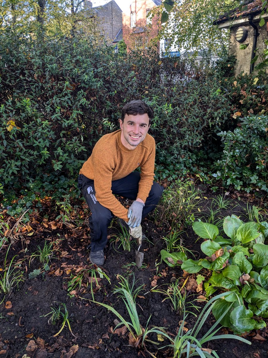 This afternoon I managed to squeeze in some community planting in Pond Square 🌱